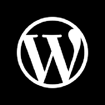 Wordpress Blog Article